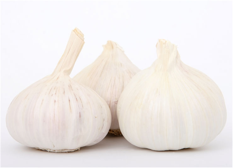 Picture Of Vampires And Garlic